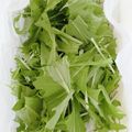 柊＿＿'s cooksnap of when they made 水菜シャキシャキ保存法.