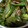 ヨッシーだなも's cooksnap of when they made 超簡単！シンプルうちの無限ピーマン#簡単.