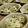 クックI7I5L1☆'s cooksnap of when they made mお手軽！かぼちゃのマヨグラタン.