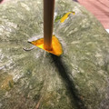 Yokchina's cooksnap of when they made かぼちゃの簡単な切り方.
