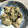 冷蔵庫レスキュー隊's cooksnap of when they made 牡蠣の煮つけ.
