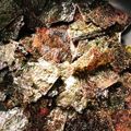 momokarima's cooksnap of when they made ★簡単★おつまみ海苔.