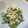 YOU1416's cooksnap of when they made ツナといんげんのマヨぽんサラダ.