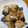 YOU1416's cooksnap of when they made ごはんがすすむ♪はまちの竜田揚げ.