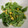 YOU1416's cooksnap of when they made コーンといんげんの胡麻和え.