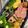 クックJ37BG7☆'s cooksnap of when they made てんとう虫のキャラ弁!!.