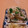 もんしゅしゅ's cooksnap of when they made 大根とかいわれのおかかさっぱり和え.