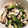 sweetちゃほ's cooksnap of when they made おくらとササミの塩昆布和え.