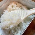 クックM1G32R☆'s cooksnap of when they made 【メスティン】基本の白飯1合　キャンプ飯.