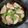 1084ごはん★'s cooksnap of when they made ローズマリー香るブリのオイルコンフィ.