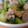 スカクワ's cooksnap of when they made 和惣菜　青菜の酒いり.