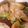 クックS5N2AF☆'s cooksnap of when they made なすの味噌炒め@つくば市学校給食.