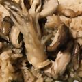 wara0946's cooksnap of when they made 椎茸と舞茸の炊き込みご飯.
