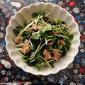 ☆hikonyan☆'s cooksnap of when they made かいわれ大根とワカメのシーチキン和え.