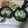 よちりん's cooksnap of when they made かぼすと刻み海苔と卵の簡単絶品しらす丼　.
