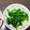 きり〜ん's cooksnap of when they made ほうれん草の茹で方.