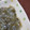 かたのさくら's cooksnap of when they made おつまみ✿速攻完成！生しらすのもずく和え.