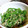 古賀竜一's cooksnap of when they made 簡単和総菜☆ピーマンとしらすの白だし炒め.
