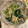 bonnet's cooksnap of when they made 小松菜とエノキのにんにく醤油バター炒め.