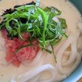 柳さき's cooksnap of when they made やみつき！明太クリームうどん.