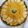 クック7N91N6☆'s cooksnap of when they made かぼちゃと白あんの和タルト.