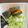 うさこママ★'s cooksnap of when they made かぼちゃの塩煮　ホクホク♡.