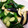 sekinak's cooksnap of when they made 浅漬けの素を使ったたっぷり野菜の漬け物♪.