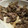 抹茶ソーダ's cooksnap of when they made れんこんと豚バラとまいたけの炒め.