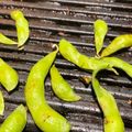 はぴはぴ005's cooksnap of when they made ホットプレートで焼枝豆.