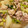 ma616y's cooksnap of when they made ★鶏とかぶの煮物★.