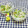 みかかめ's cooksnap of when they made しらす・かいわれのごま油和え.