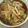クックZ8J4H4☆'s cooksnap of when they made 白菜、豚肉、えのきのあんかけ丼.