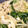 きなこぱん2's cooksnap of when they made 汁まで楽しむ！水菜とえのきの塩味お浸し.