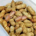 くるくみYK's cooksnap of when they made 活力鍋で生落花生を茹でてみよう！.