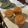 テンコテンテンコ's cooksnap of when they made 完熟柿のとぅるとぅるプリン♡.