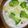 クックH86AFM☆'s cooksnap of when they made ベーコンときのこたっぷりグラタン.