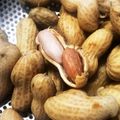 ちょこふみ's cooksnap of when they made 秋です。落花生のゆで方～ゼロ活力なべ～.