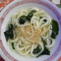 くネコまろす's cooksnap of when they made レンジで簡単！鶏塩うどん☆.