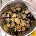 けーこころん's cooksnap of when they made ★あさりの砂抜き方法★.