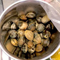 けーこころん's cooksnap of when they made ★あさりの砂抜き方法★.