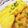U☆kaoru's cooksnap of when they made ＊簡単！たんぽぽオムライス＊.