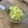 クックIT9OT1☆'s cooksnap of when they made 離乳食後期〜完了期に☆小松菜チャーハン.