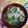 くネコまろす's cooksnap of when they made 舞茸と春菊のスープ.
