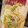 クックM20B8P☆'s cooksnap of when they made すだち農家ご用達✨美肌すだち酵素ジュース.
