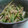 菜乃果's cooksnap of when they made ✿ささみと胡瓜のわさび醤油和え✿.