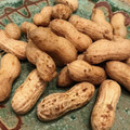 hitsujiさん's cooksnap of when they made 【超簡単！】生落花生のゆで方.