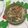 おはなすき's cooksnap of when they made 娘が作るもやし温サラダ.