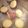 ナンキンハゼ's cooksnap of when they made 田舎のおやつ☆ふかしいも.