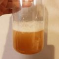 ビーグル太郎☆'s cooksnap of when they made しょうが酵母　使用　砂糖なし　ソーダ.