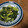 Jaye's cooksnap of when they made 大根の葉の胡麻和え 簡単！.